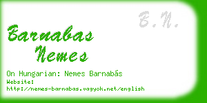 barnabas nemes business card